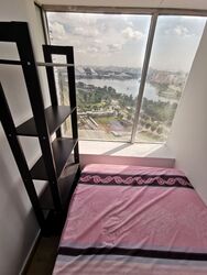 The Plaza (D7), Apartment #632918621